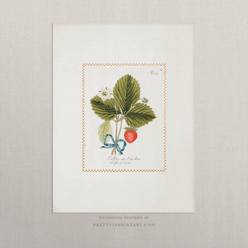 Vintage Art Print; Strawberry Plant 002 |  Unframed