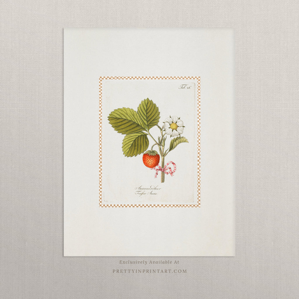 Vintage Art Print; Strawberry Plant 001 |  Unframed