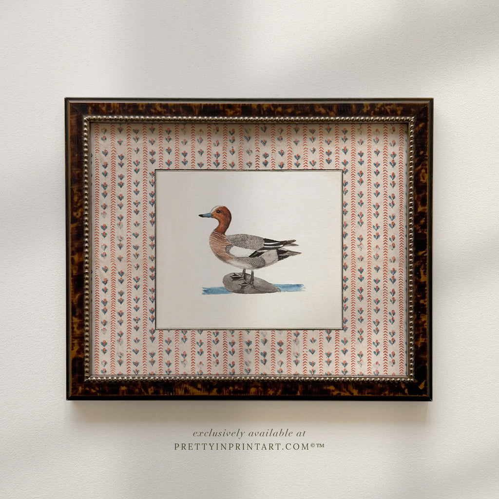 Vintage Duck Art 008 |  Unframed