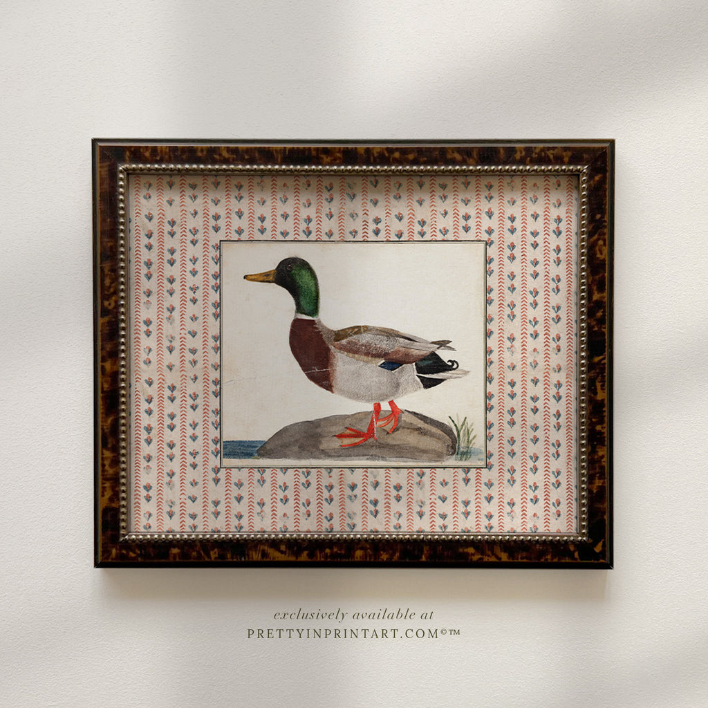 Vintage Duck Art 013 |  Unframed