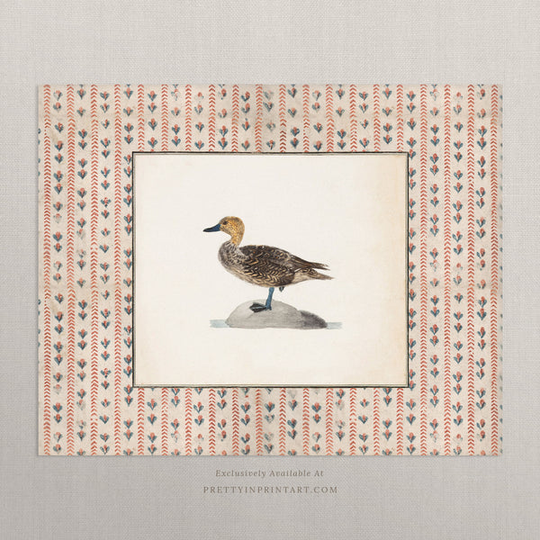 Vintage Duck Art 005 |  Unframed