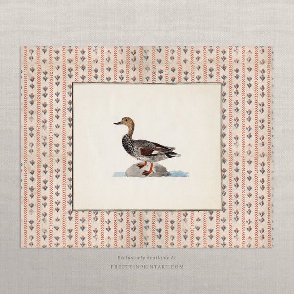 Vintage Duck Art 003 |  Unframed