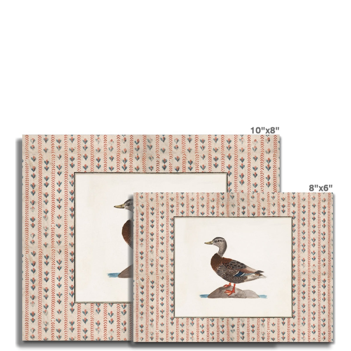 Vintage Duck Art 008 |  Unframed