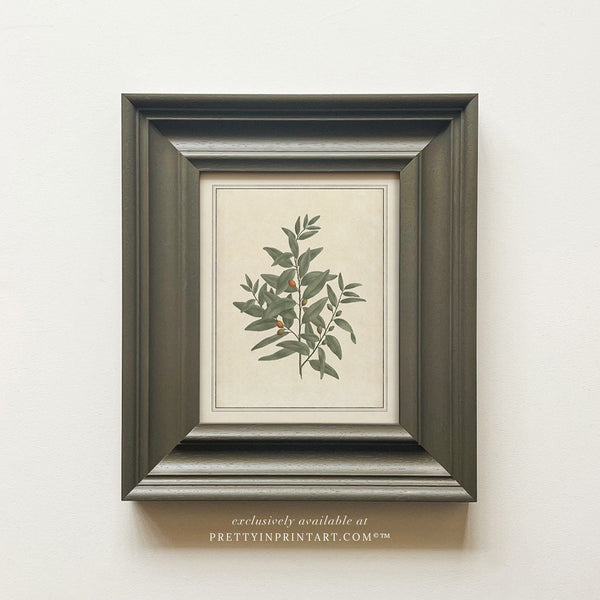 Vintage Plant Art 00956-03 (PAN-00301)