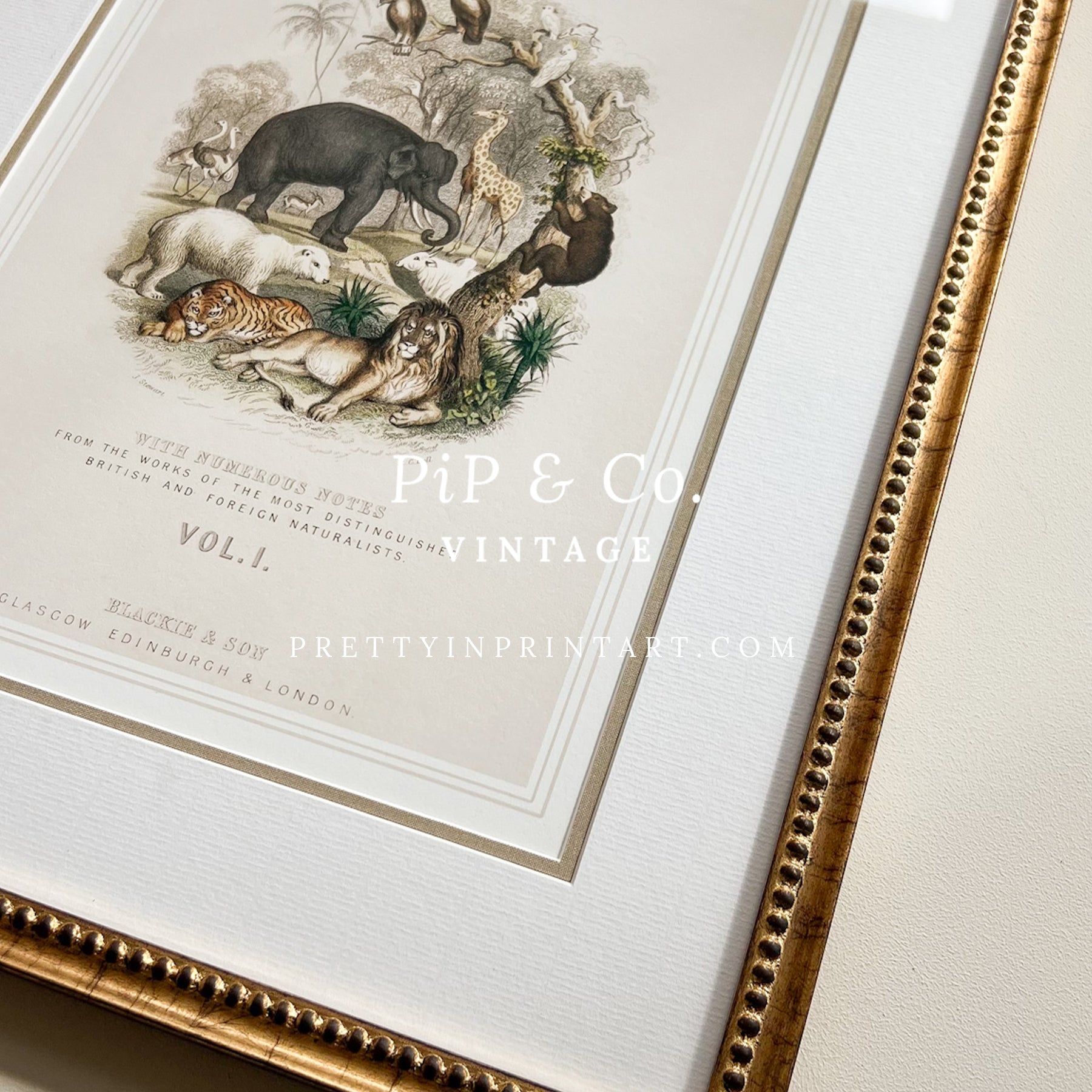 Animal Nursery Art - Antique Gold Frame