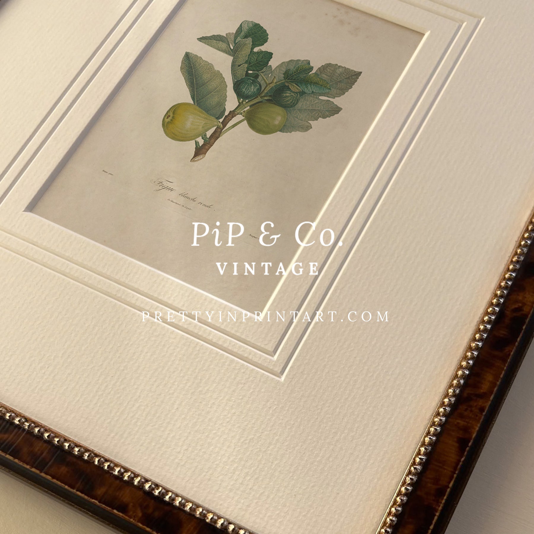 Vintage framed botanical art print featuring green and yellow pears with decorative matting and elegant frame.