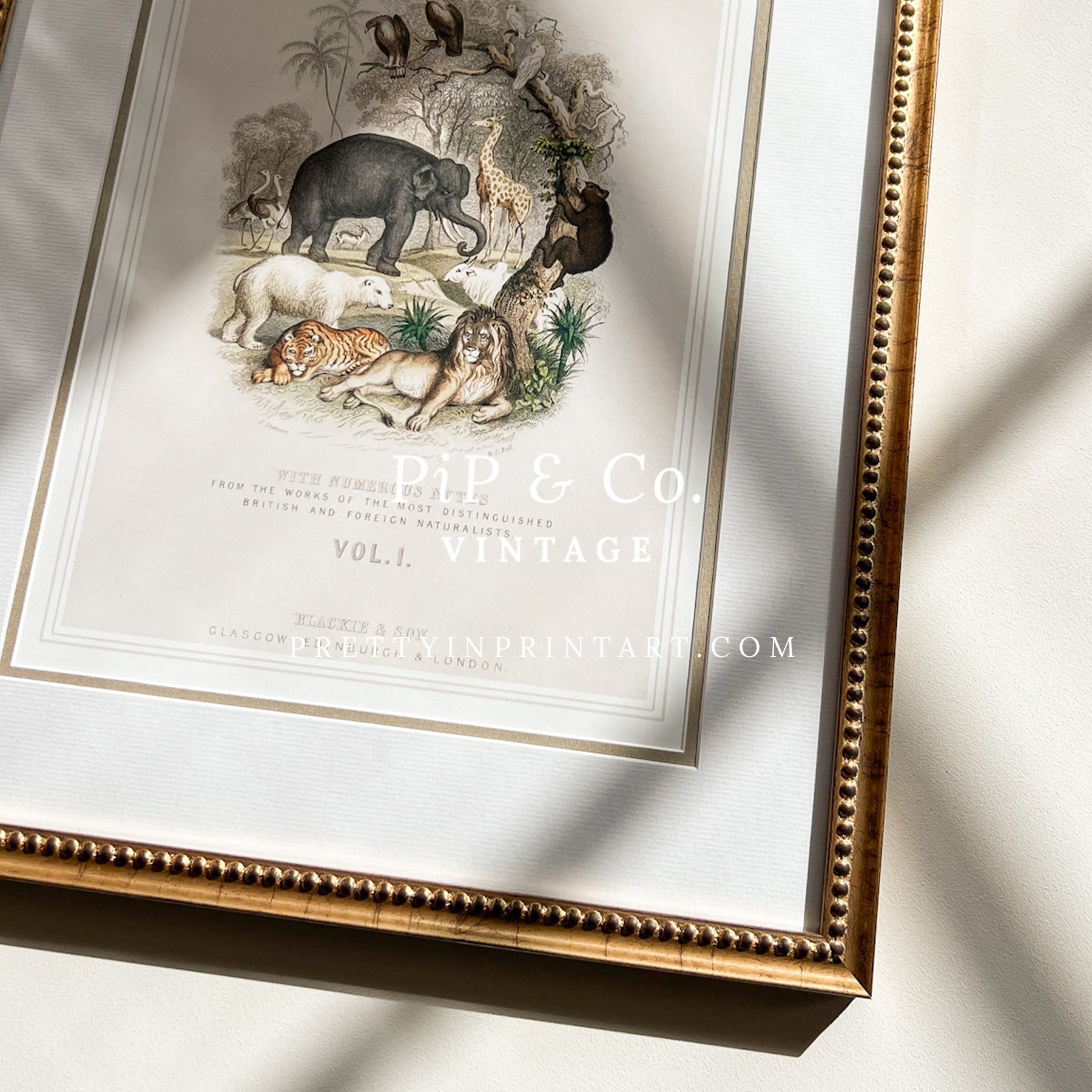 Animal Nursery Art - Antique Gold Frame