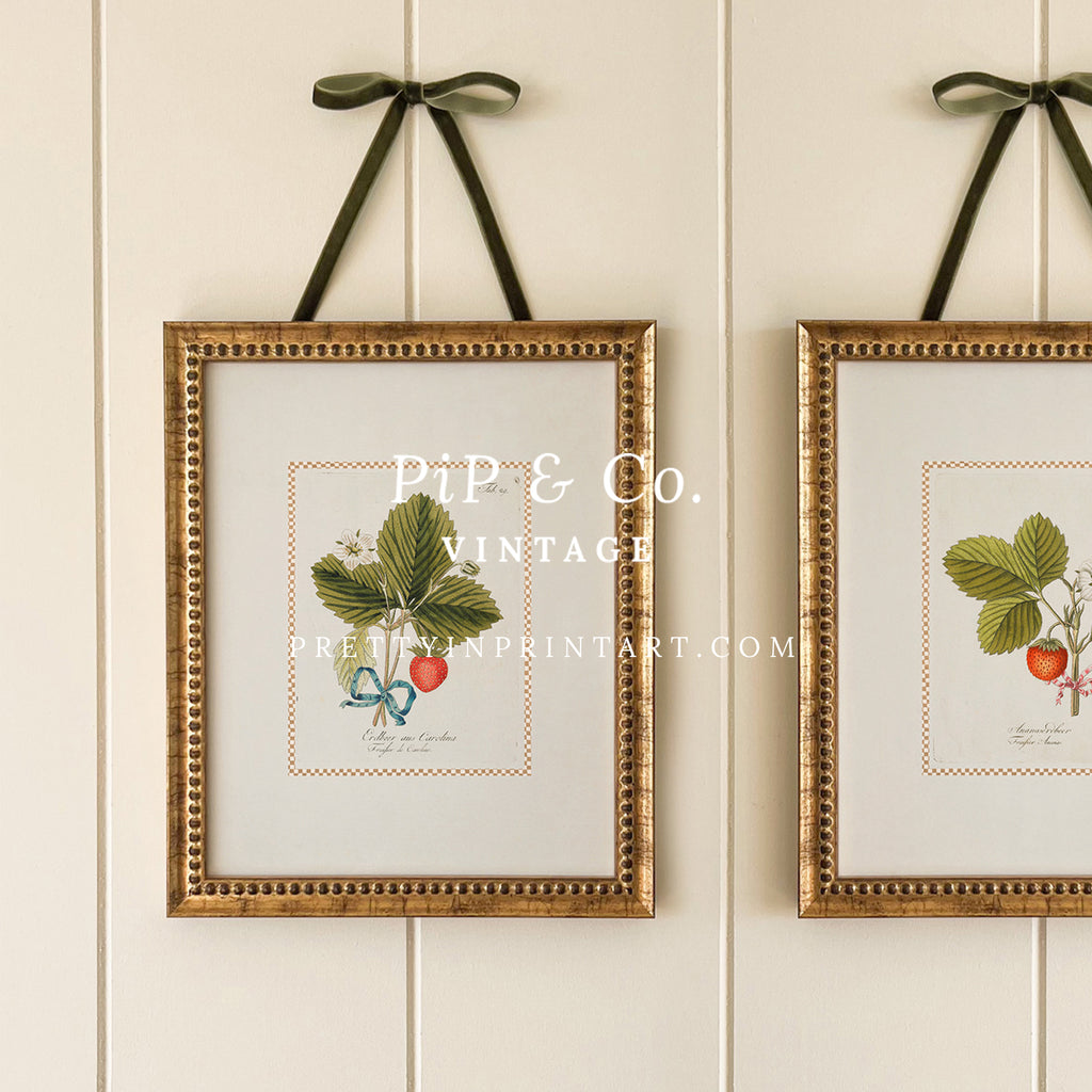 Vintage Art Print; Strawberry Plant 001 | Framed (GOLD-0160)