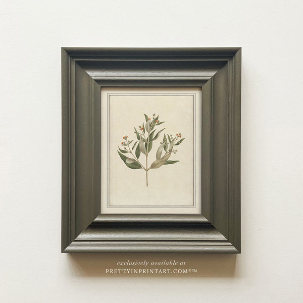 Vintage Plant Art 00956-01 (PAN-00301)