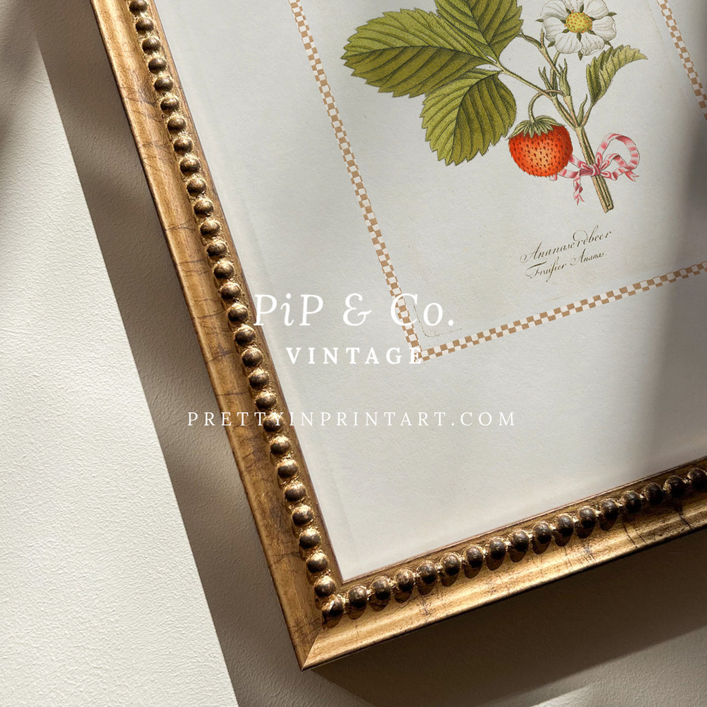 Vintage Art Print; Strawberry Plant 002 | Framed (GOLD-0160)