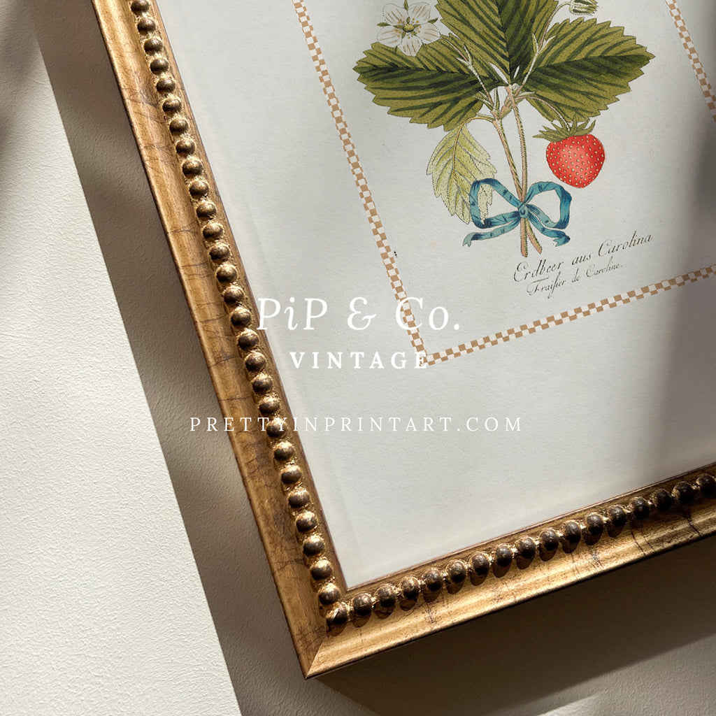 Vintage Art Print; Strawberry Plant 002 | Framed (GOLD-0160)