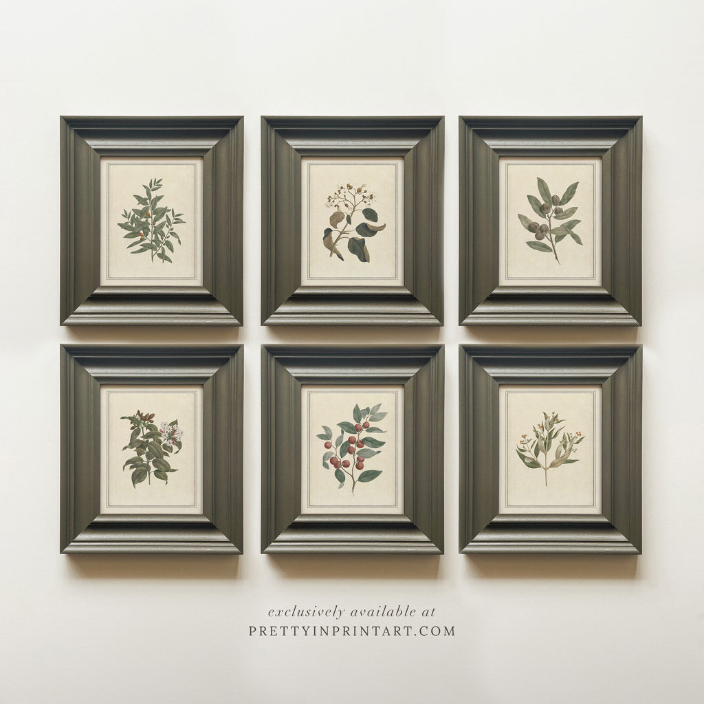 Vintage Plant Art 00956-01 (PAN-00301)