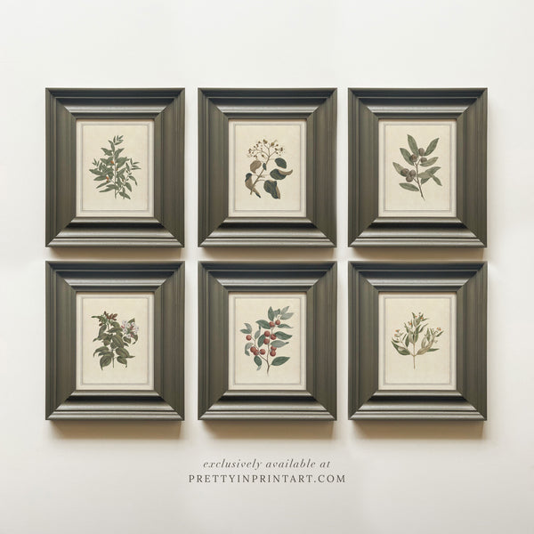 Vintage Plant Art 00956-03 (PAN-00301)