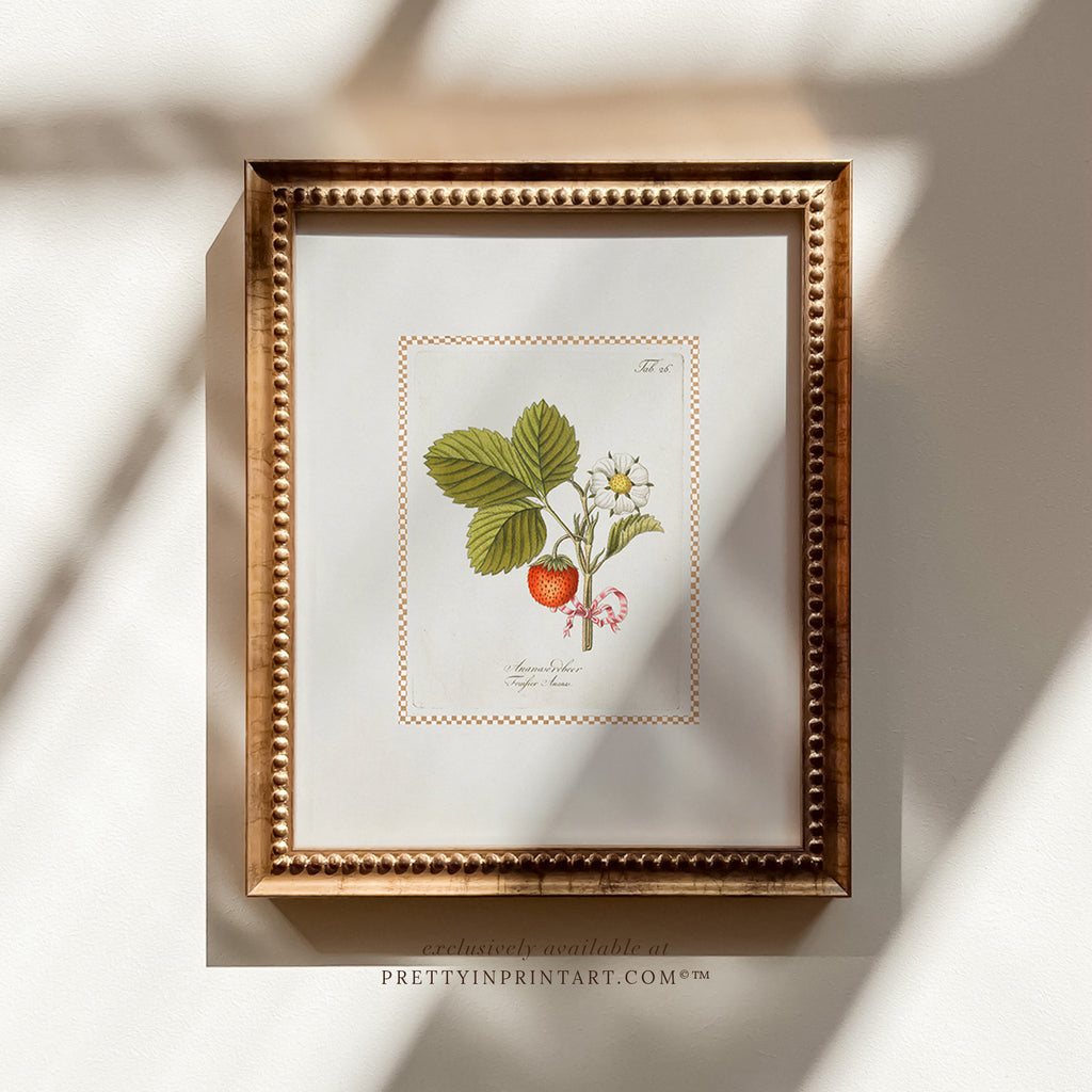 Vintage Art Print; Strawberry Plant 002 | Framed (GOLD-0160)