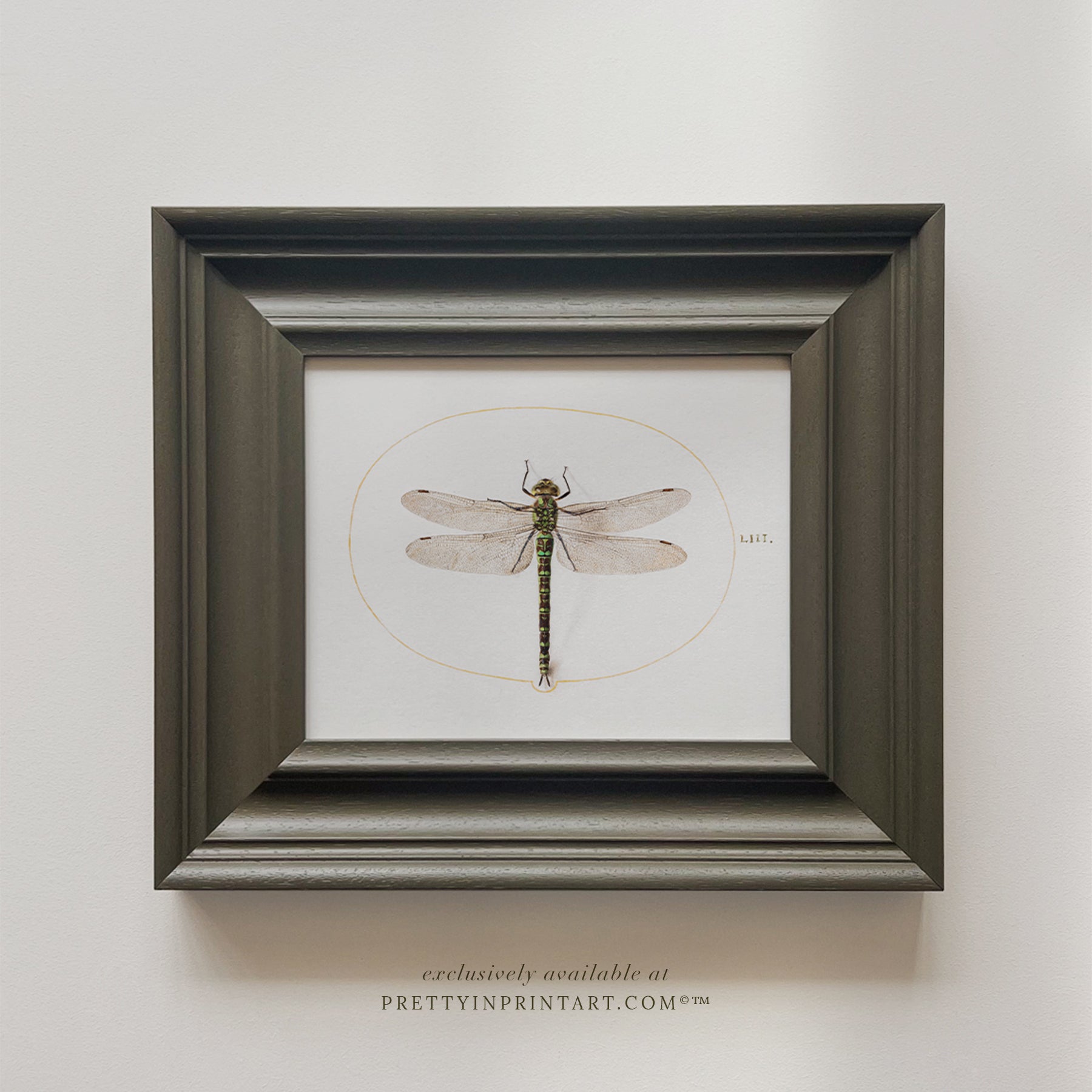 Framed Dragonfly Art (008 + PAN-00301)