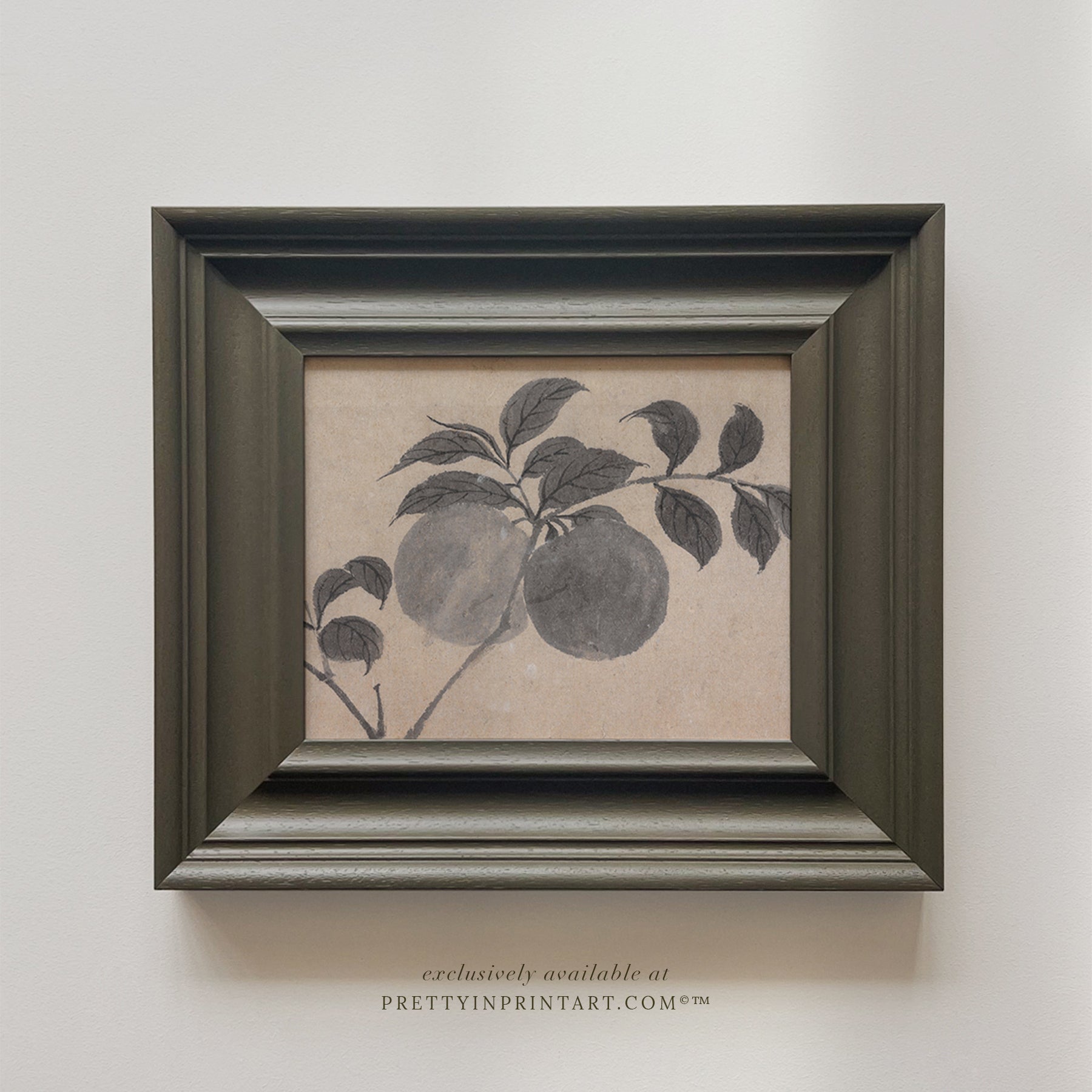 Framed Still Life Art (00924 + PAN-00301)