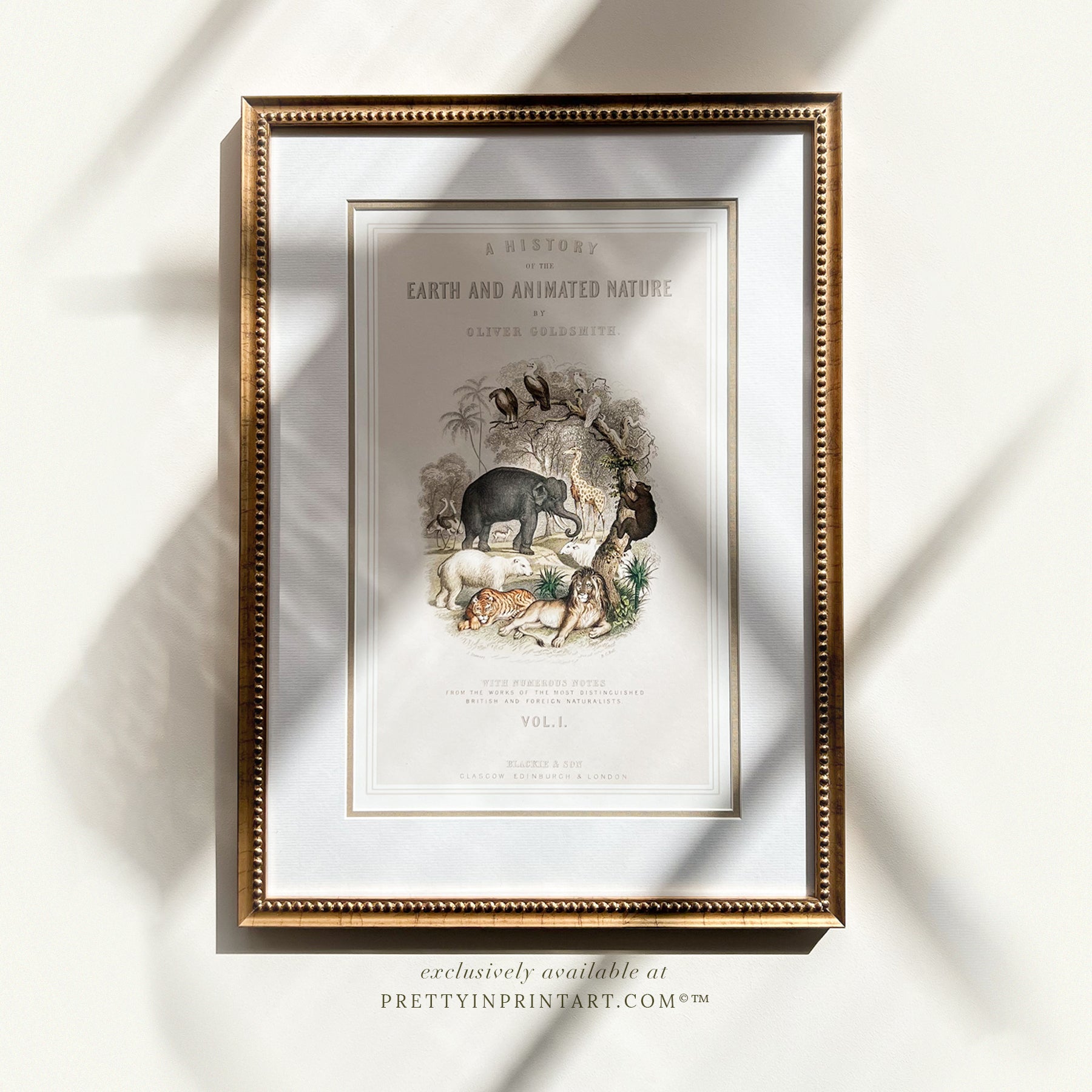 Animal Nursery Art - Antique Gold Frame