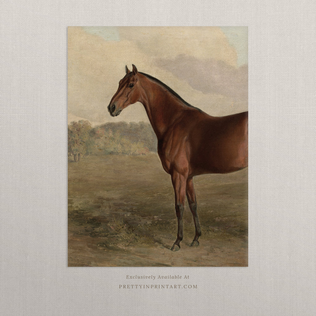 Vintage Horse Art Print; 008566 Portrait |  Unframed