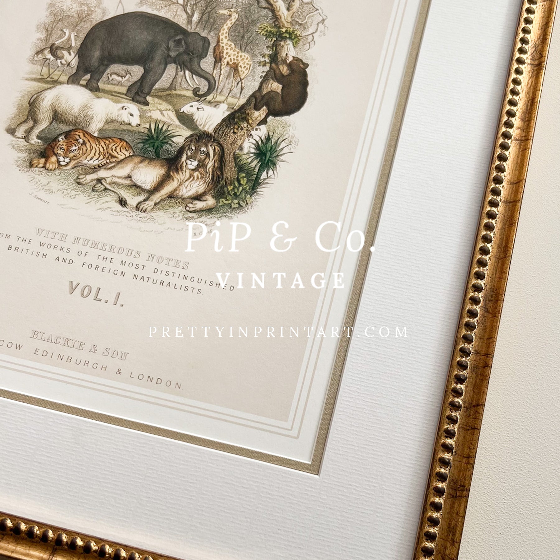 Animal Nursery Art - Antique Gold Frame