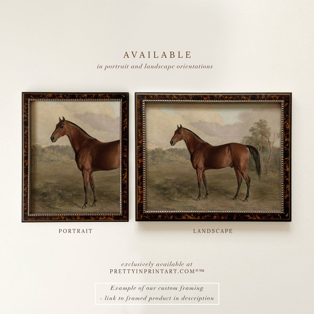 Vintage Horse Art Print; 008566 Portrait |  Unframed