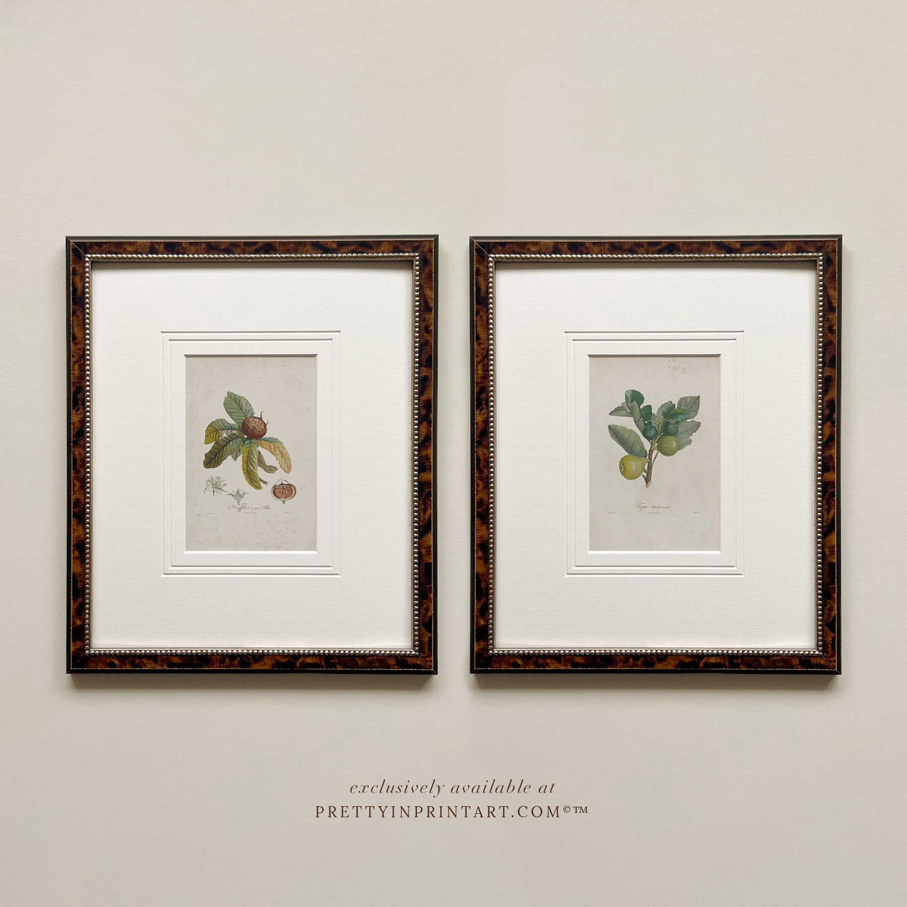 Framed still life vintage art prints featuring botanical designs in tortoise effect frames.