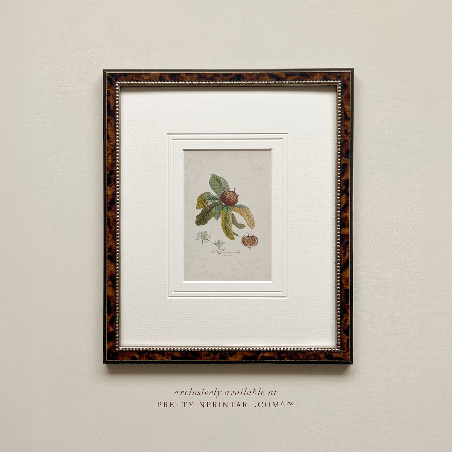 Framed still life vintage art print featuring botanical elements in a tortoise frame, perfect for farmhouse kitchen decor.