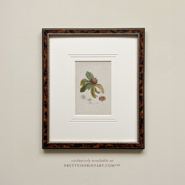 Framed Still Life Art 007947 (BRN-TOR-2124) |  Mount 003