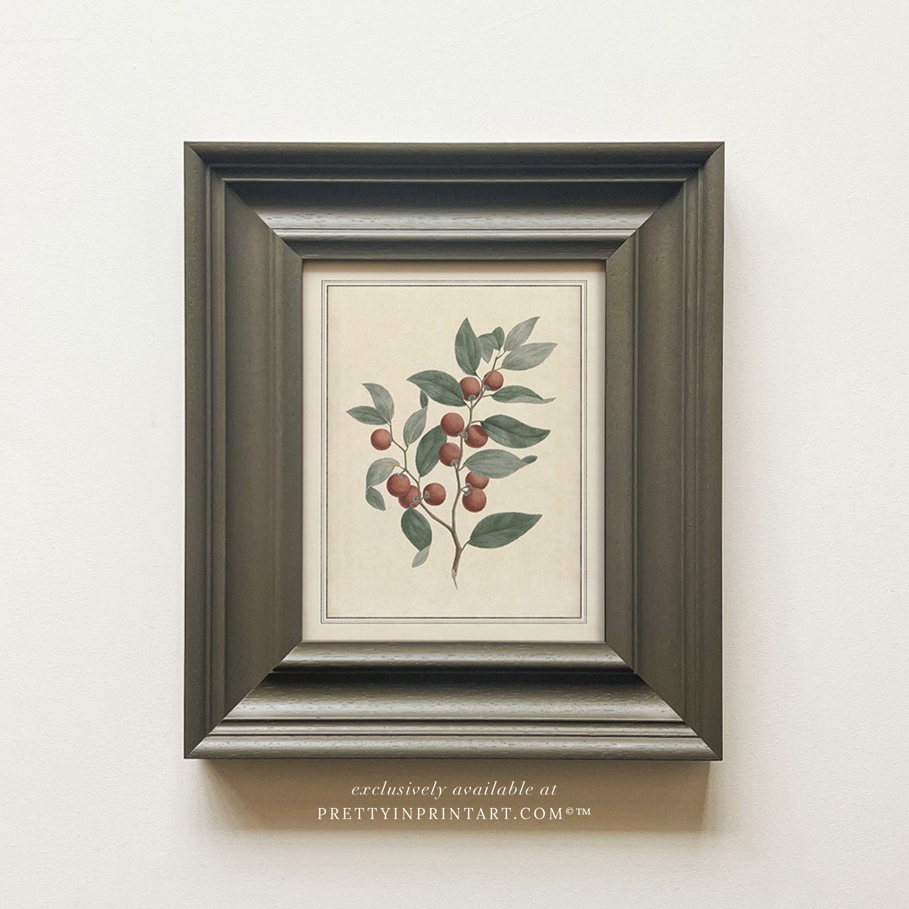 Vintage Plant Art 00956-06 (PAN-00301)