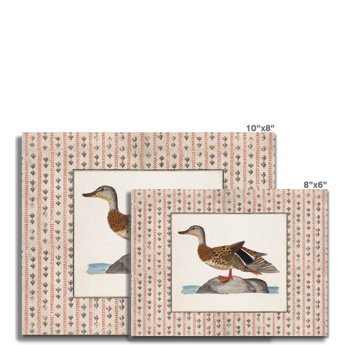 Vintage Duck Art 002 |  Unframed