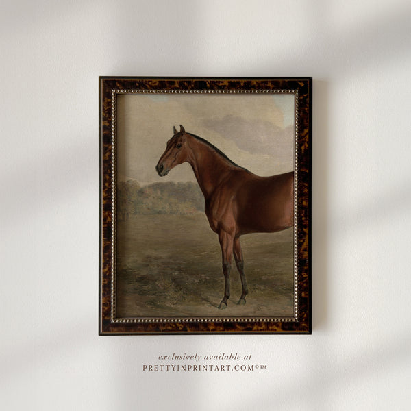 Vintage Horse Art Print; 008565 / 6 (BRN-TOR-2124)