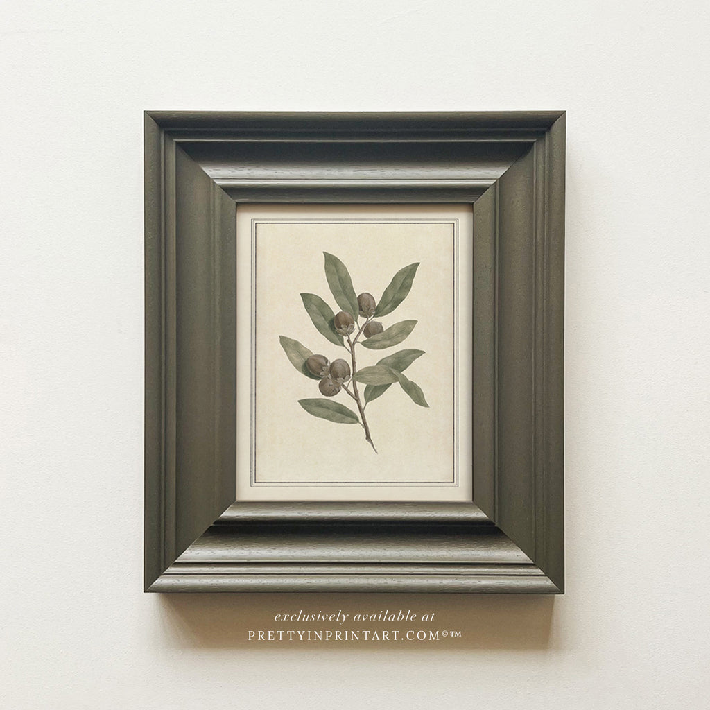 Vintage Plant Art 00956-05 (PAN-00301)