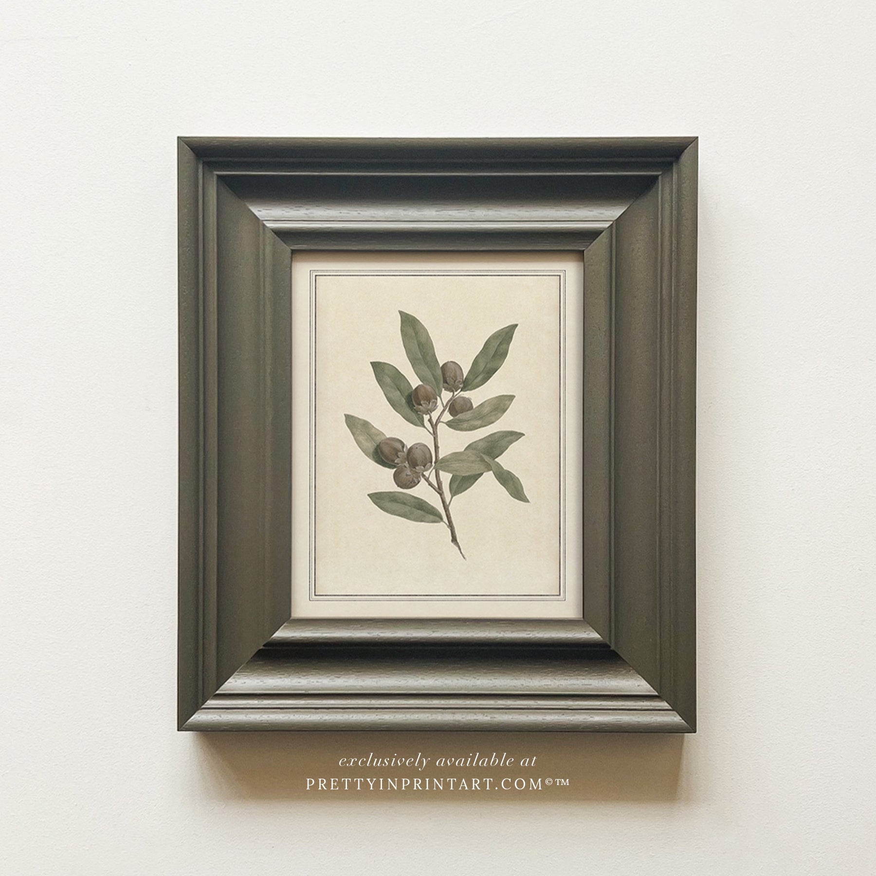 Vintage Plant Art 00956-05 (PAN-00301)