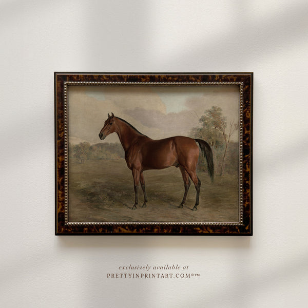 Vintage Horse Art Print; 008566 / 5 (BRN-TOR-2124)