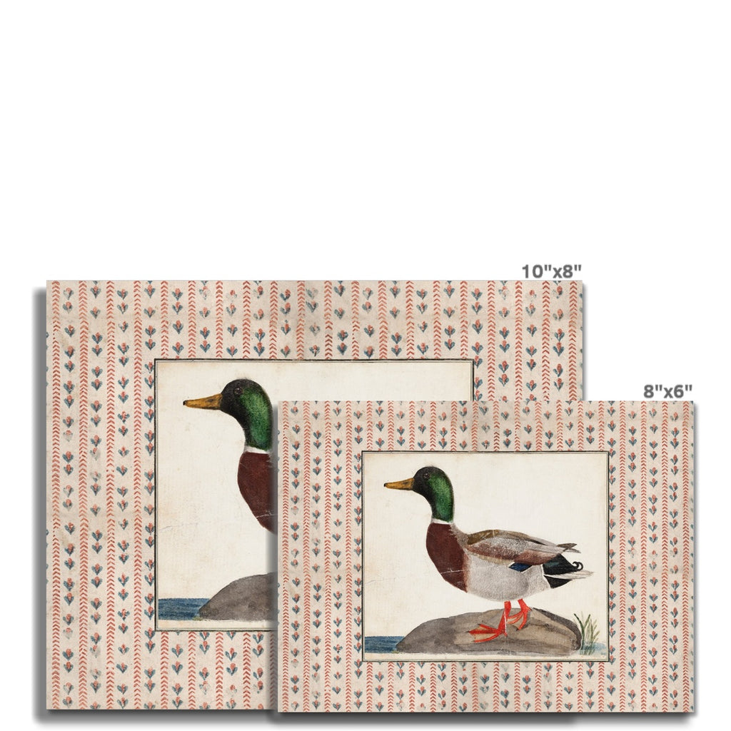 Vintage Duck Art 013 |  Unframed