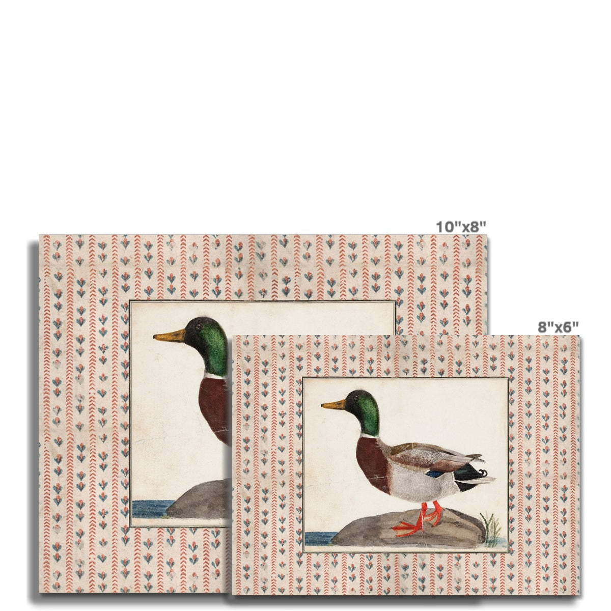 Vintage Duck Art 003 |  Unframed