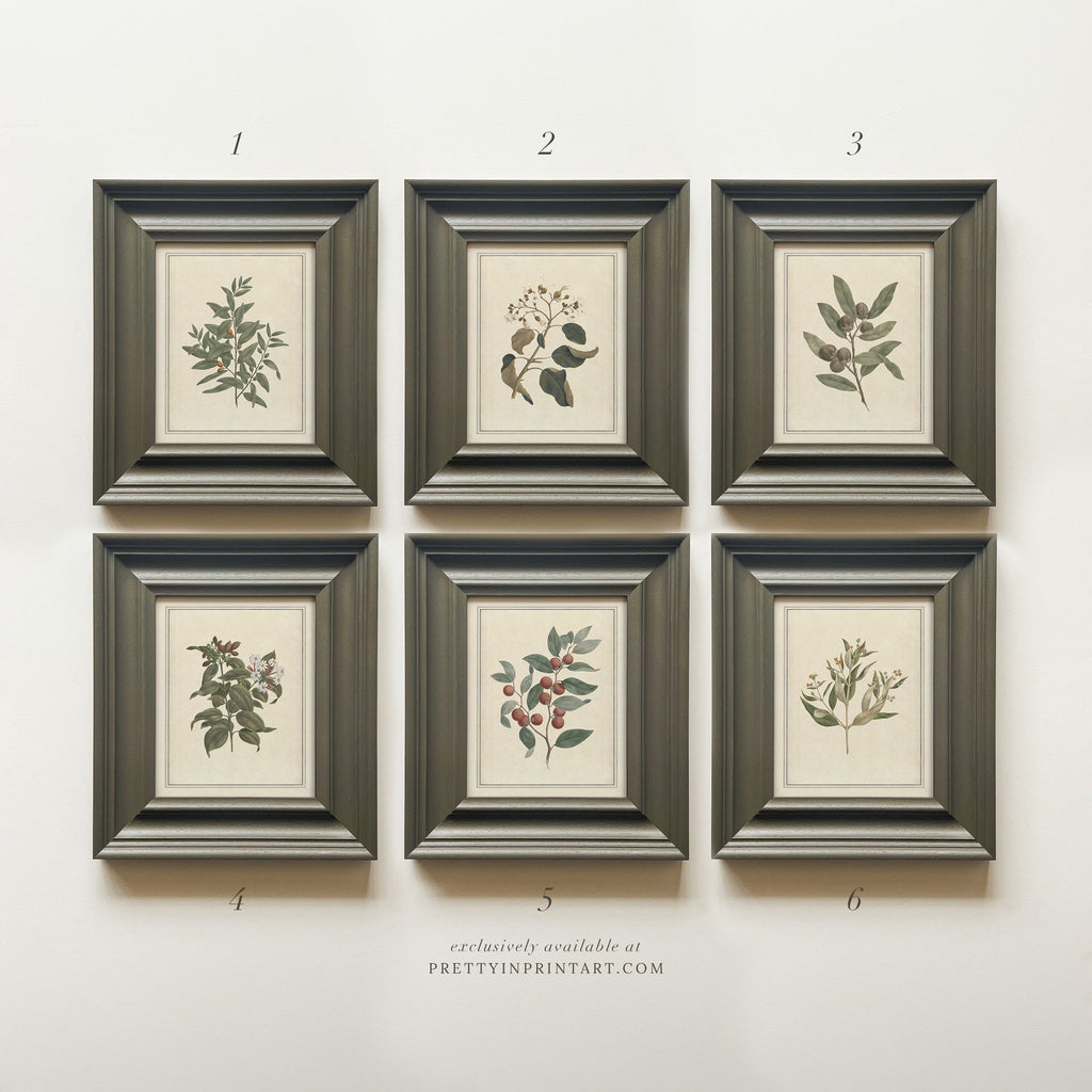 Vintage Plant Art 00956 (PAN-00301)