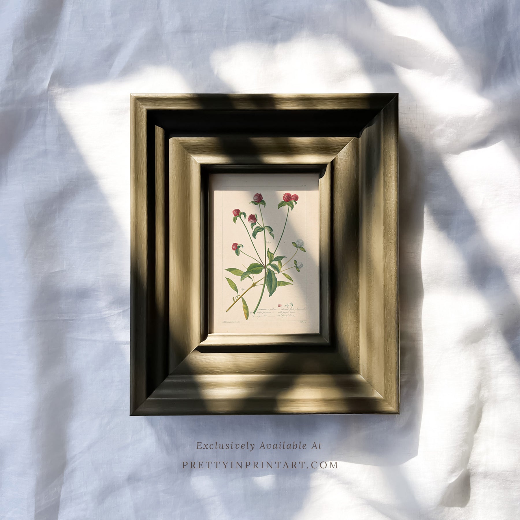 SOLD OUT — Hand Painted Frame | PT-10928 (UK ONLY)