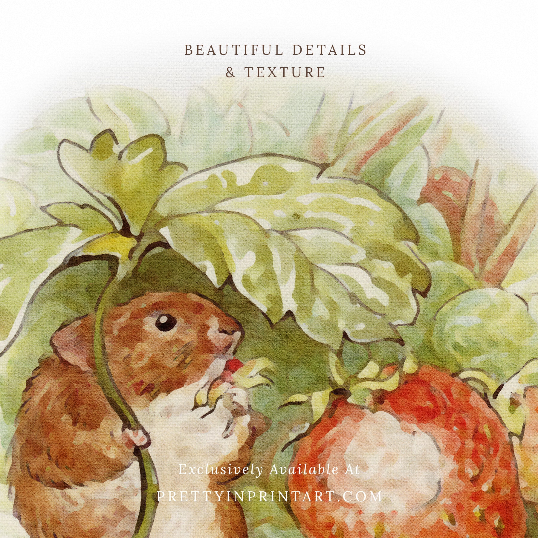 Beatrix Potter Inspired Art |  Unframed