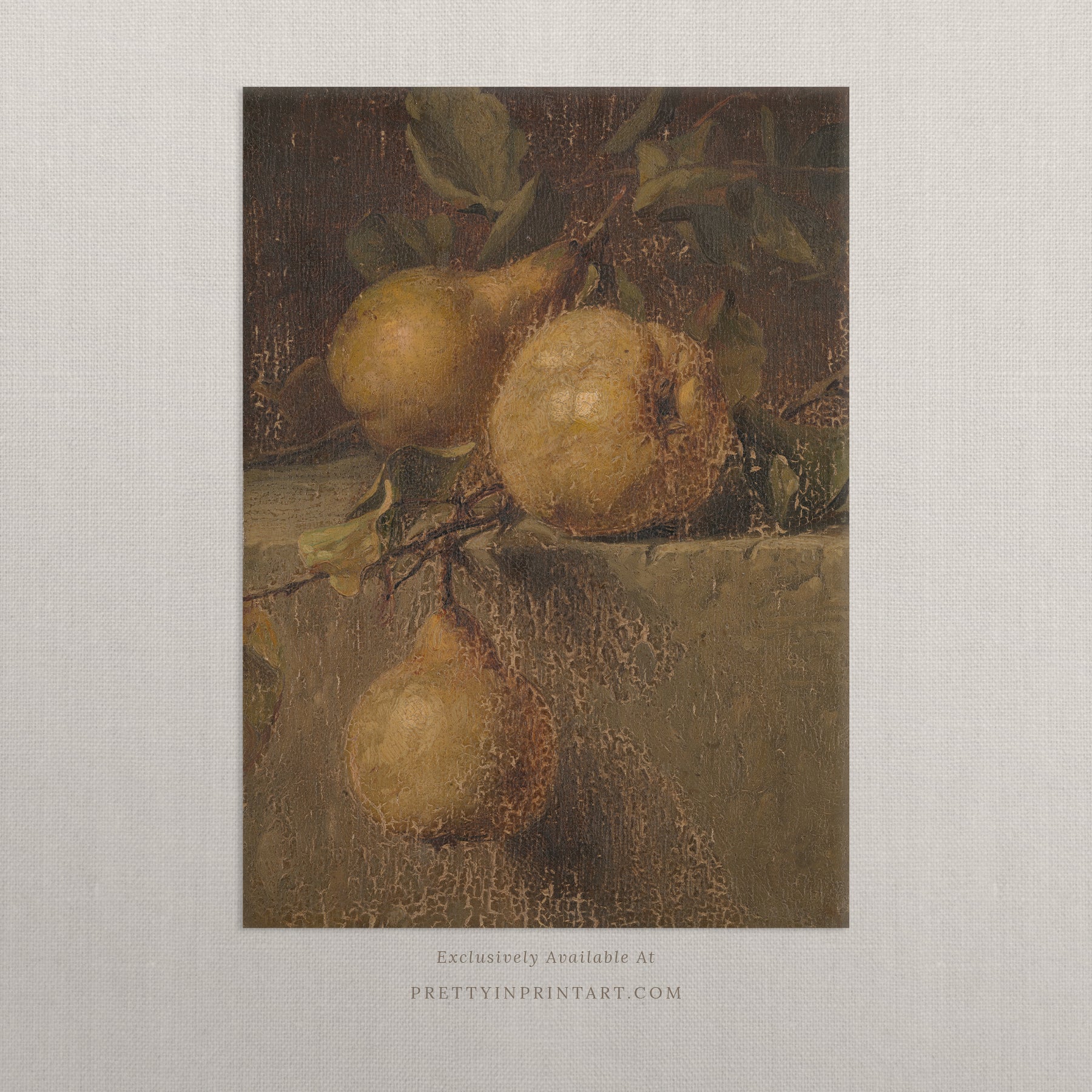 Vintage Still Life Pear Art 00544 |  Unframed