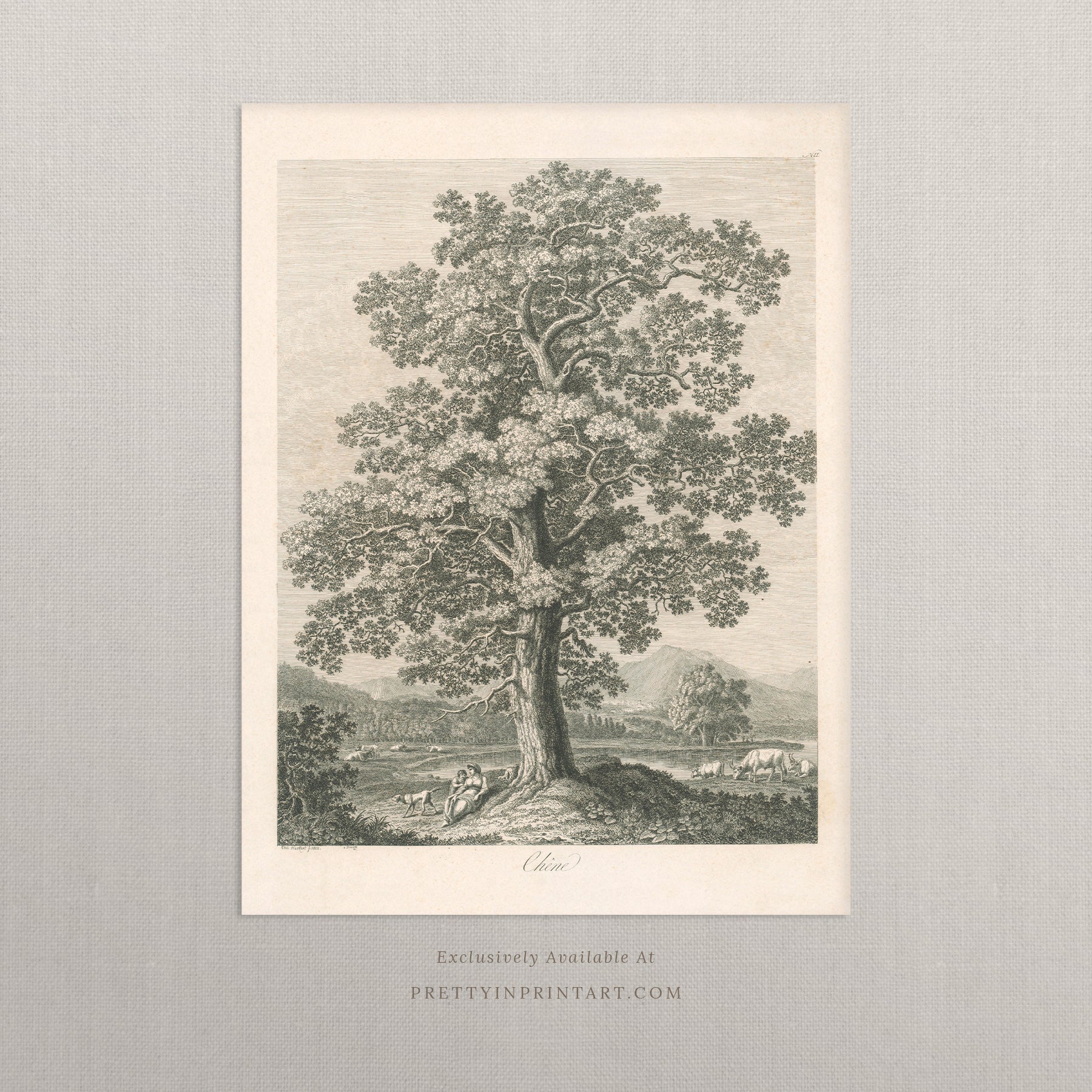 Vintage Tree Etching Art 00515 |  Unframed