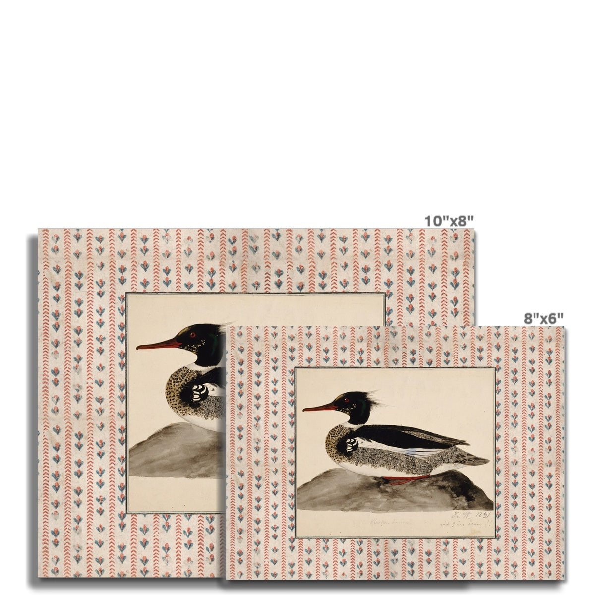 Vintage Duck Art 013 |  Unframed