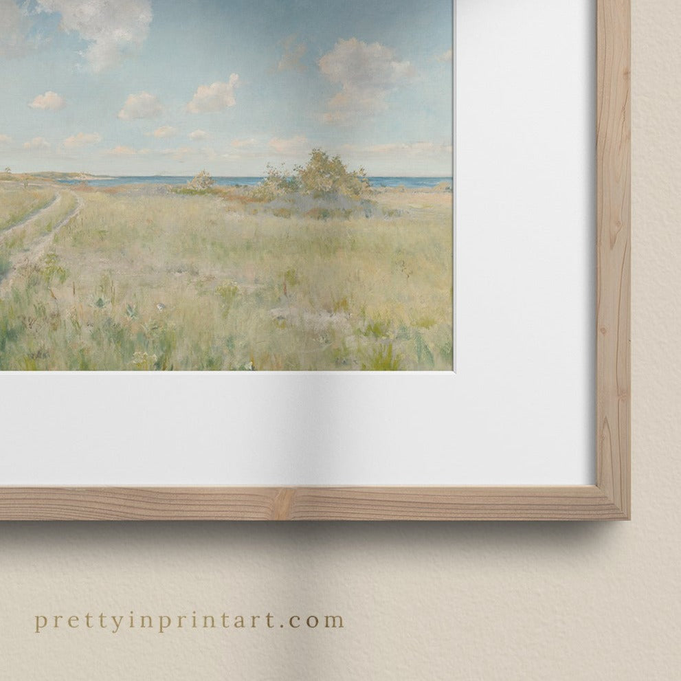 Landscape, Coastal 00576 |  Framed & Mounted Print