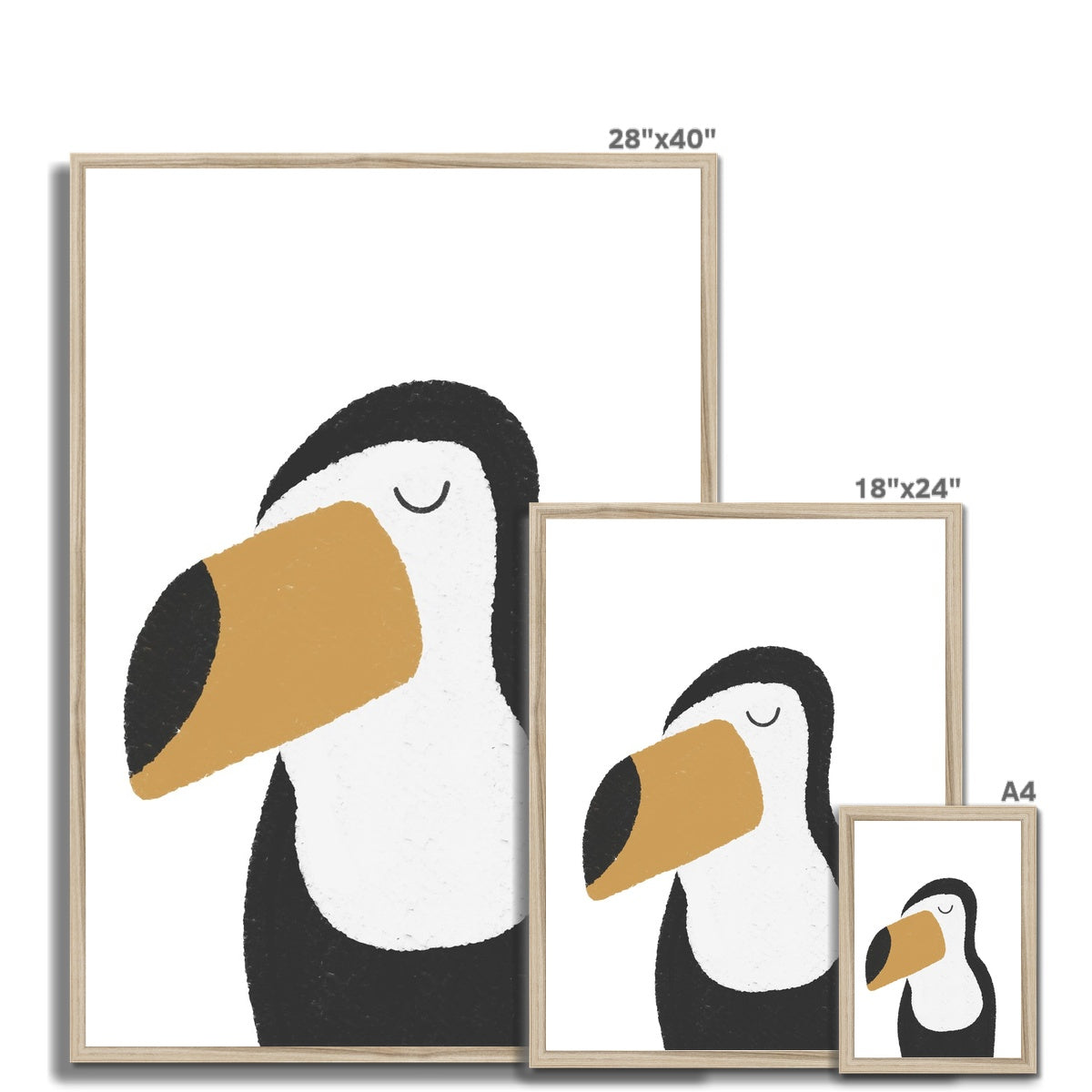 Toucan Print - Plain |  Framed Print