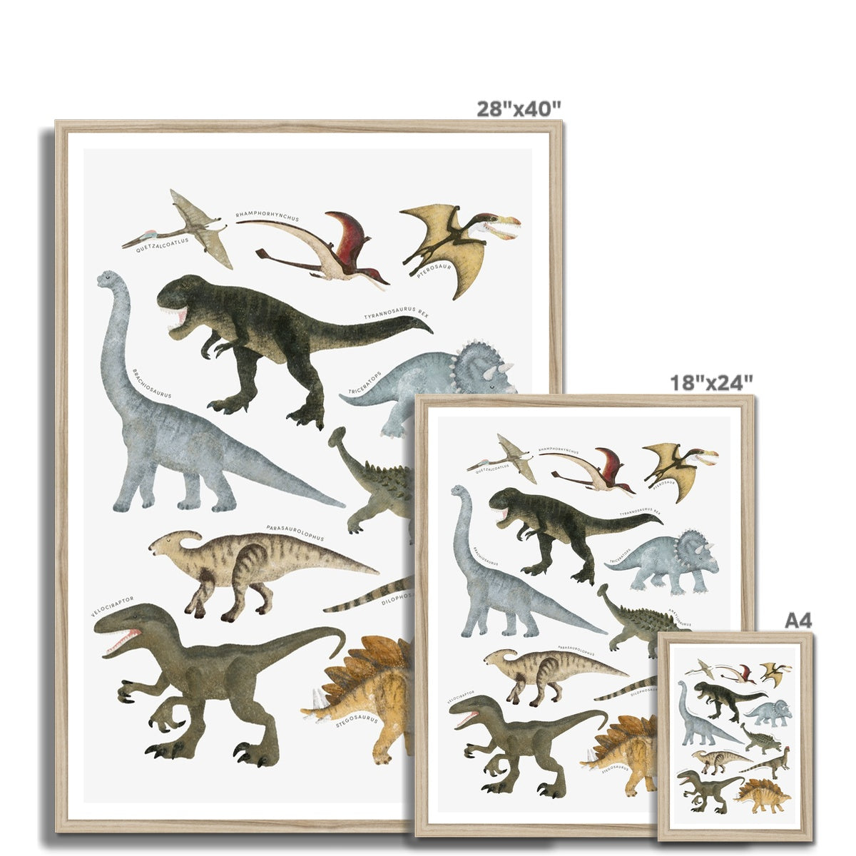 Dinosaur Educational Chart |  Framed Print