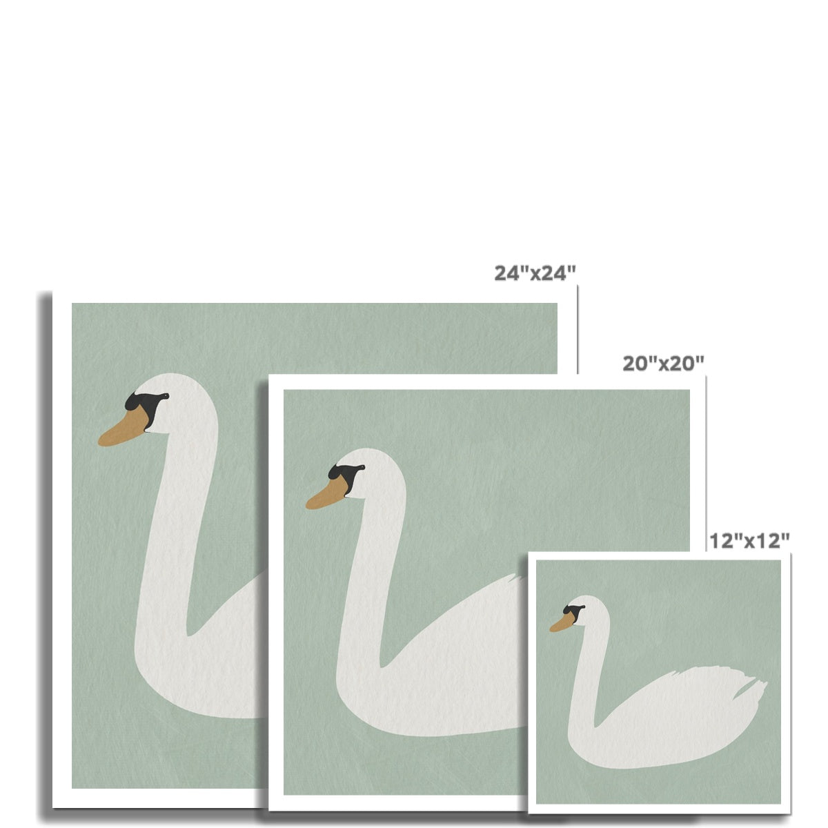 Swan Art - Terecas Green |  Unframed