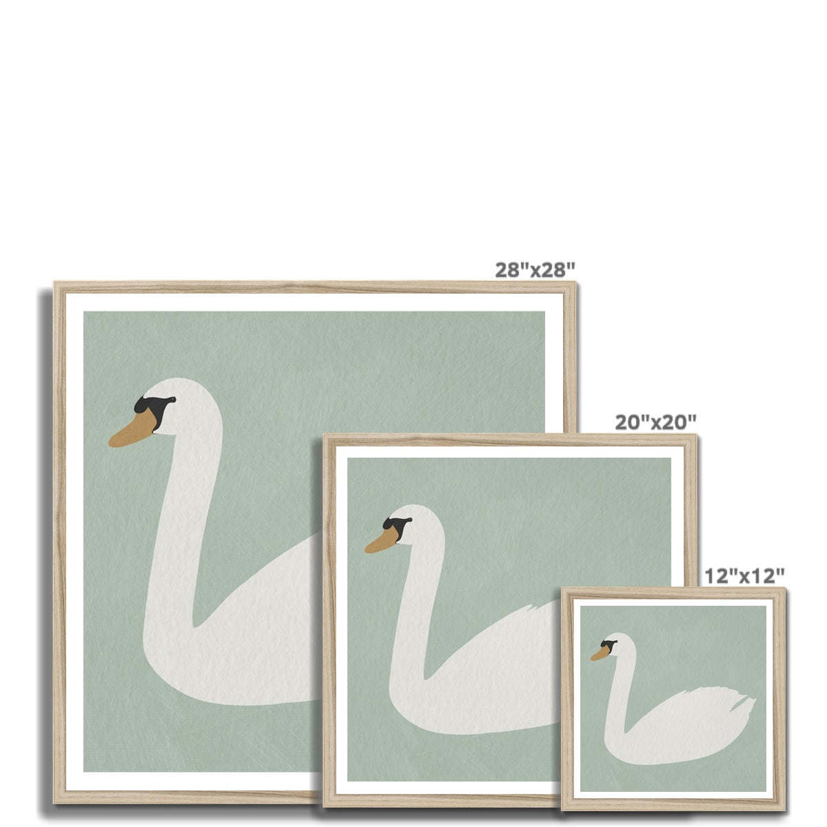 Swan Art - Terecas Green |  Framed Print