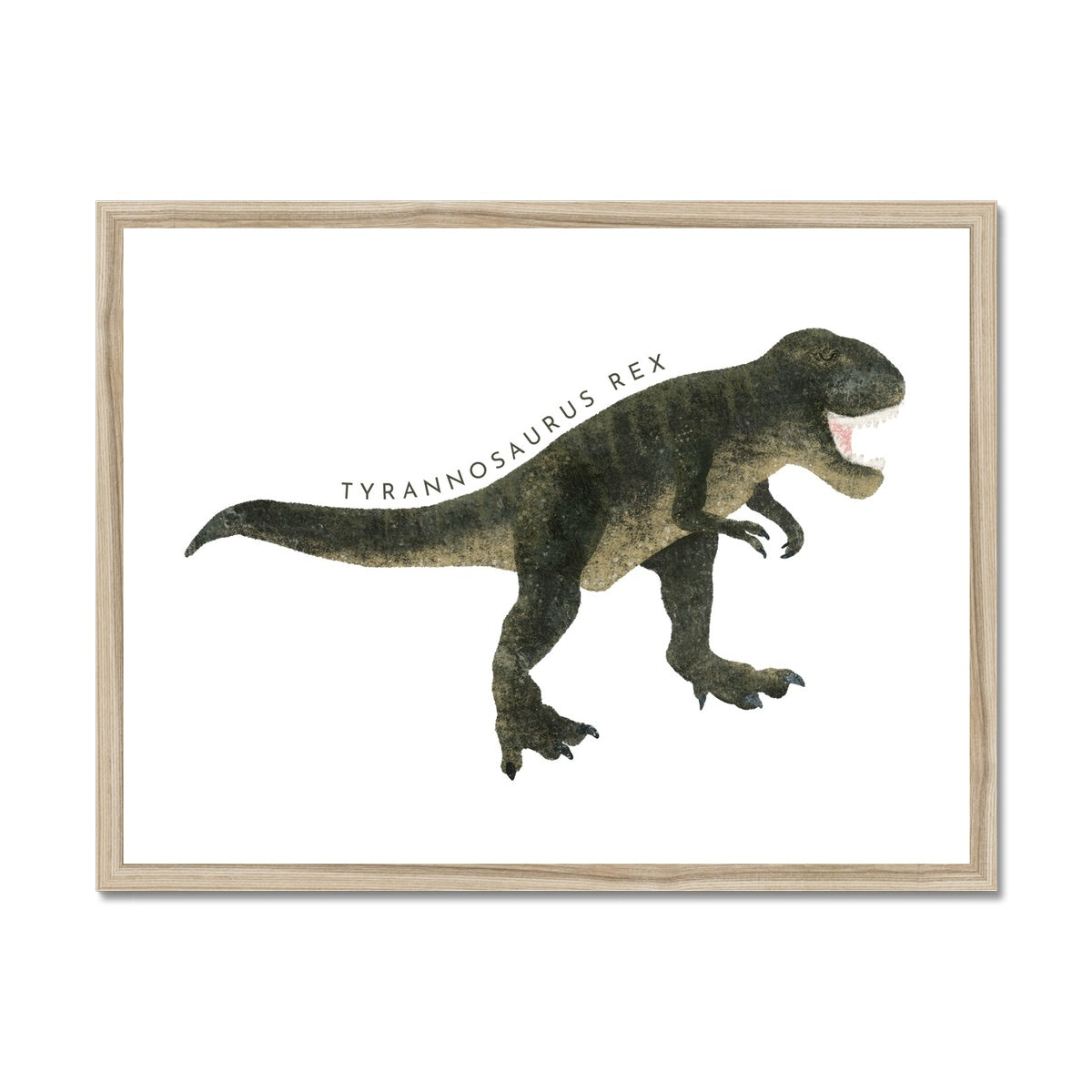 Dinosaur Art - Tyrannosaurus Rex |  Framed Print