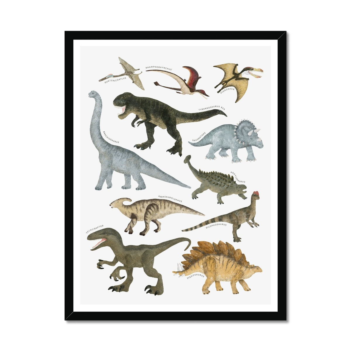 Dinosaur Educational Chart |  Framed Print