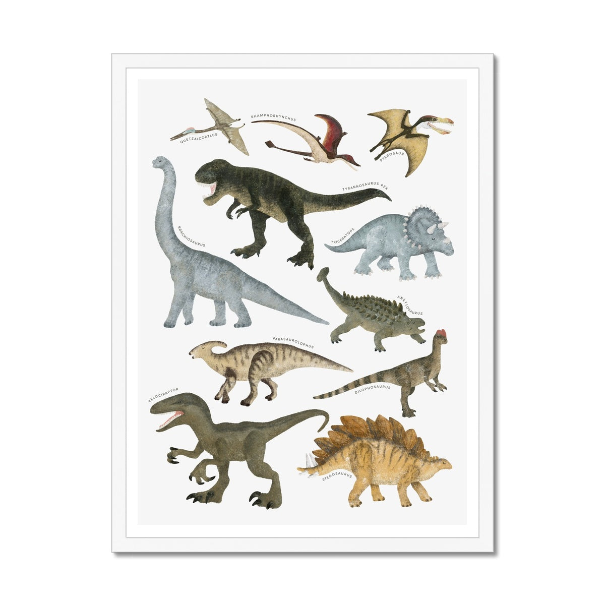 Dinosaur Educational Chart |  Framed Print