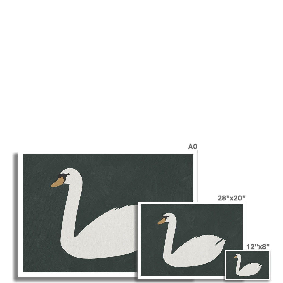 Swan Art - Studio Green |  Unframed